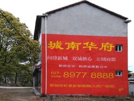 漯河百分之90的人都不了解的农村墙体广告